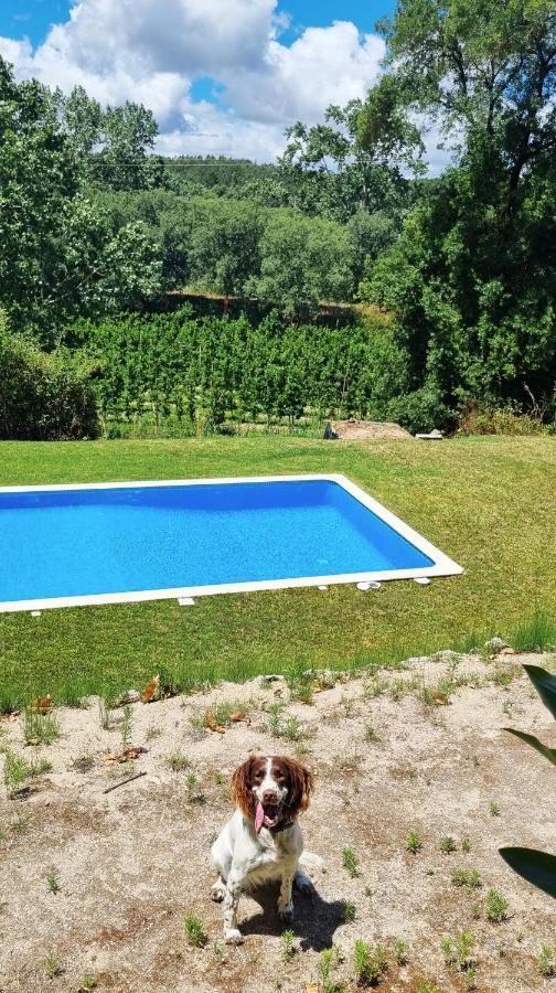 Villa Quinta Do Sanguinhal Rio Maior Exterior foto