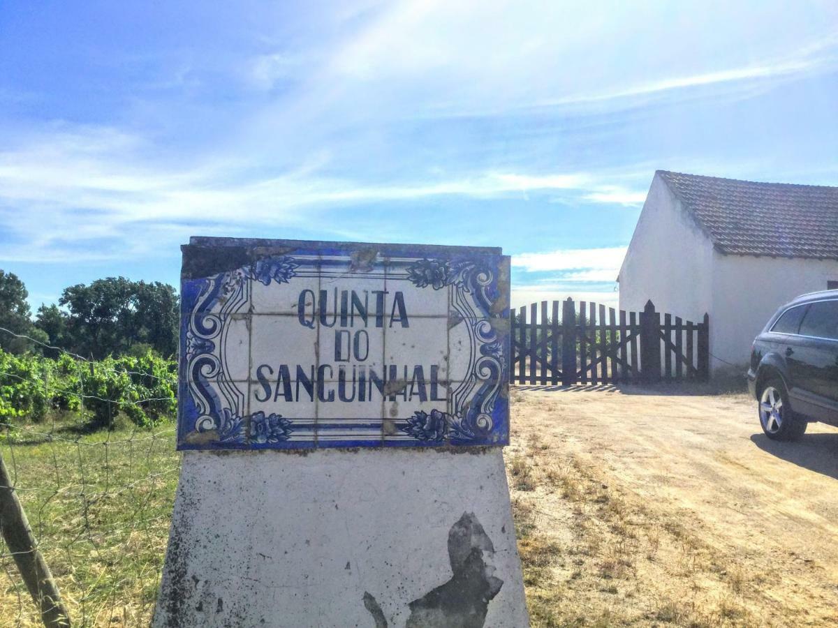 Villa Quinta Do Sanguinhal Rio Maior Exterior foto